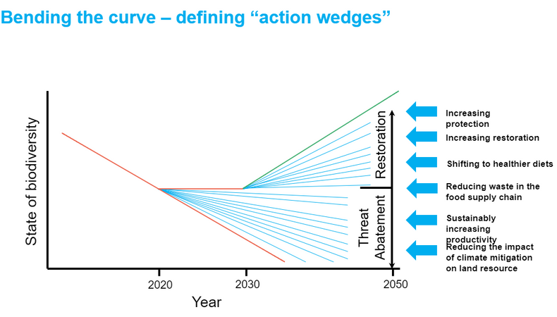 UN Bending the curve CW Unplugged Tech for Earth